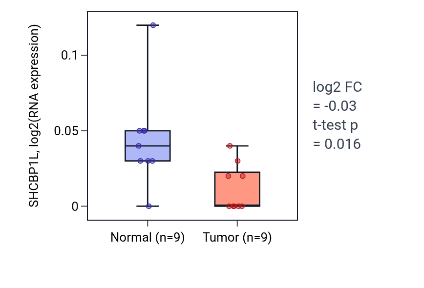 Tumor-vs-normal expression box plot for SHCBP1L in THCA.