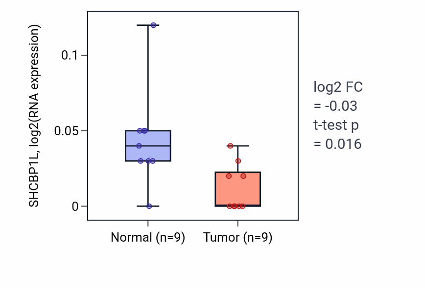 Tumor-vs-normal expression box plot for SHCBP1L RNA in THCA.