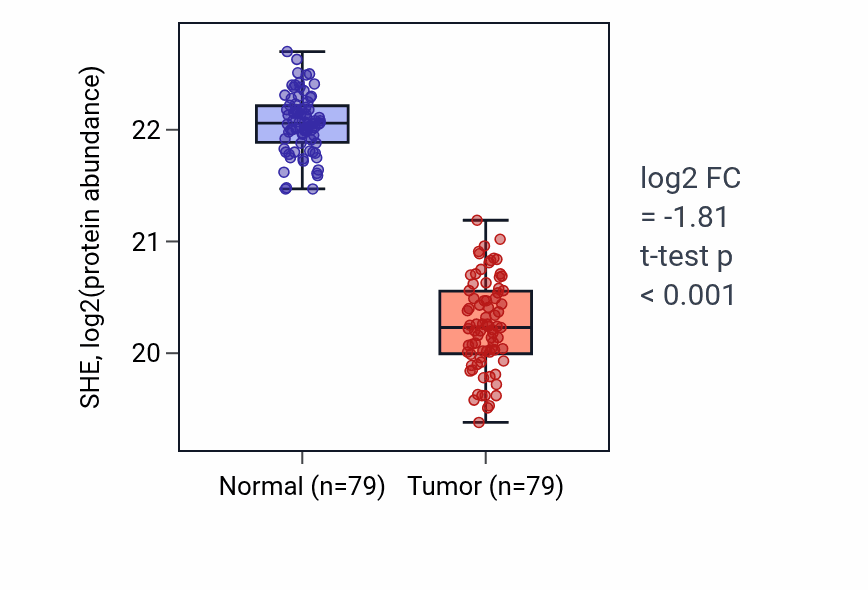 Tumor-vs-normal mass-spec protein box plot for SHE in LSCC.