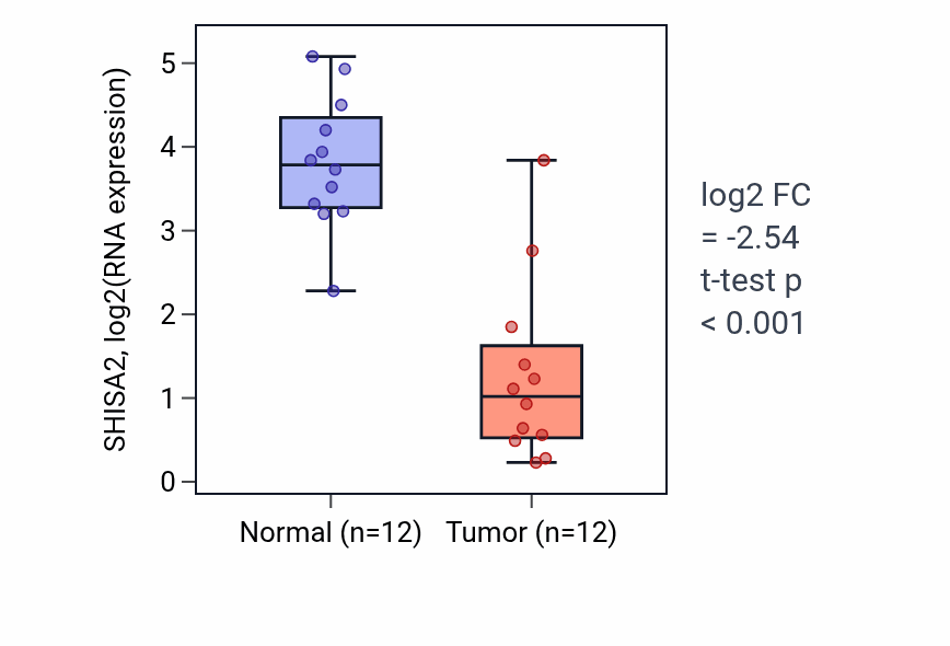 Tumor-vs-normal expression box plot for SHISA2 RNA in KIRC.