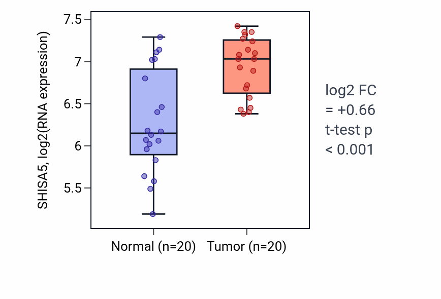Tumor-vs-normal expression box plot for SHISA5 RNA in KIRC.