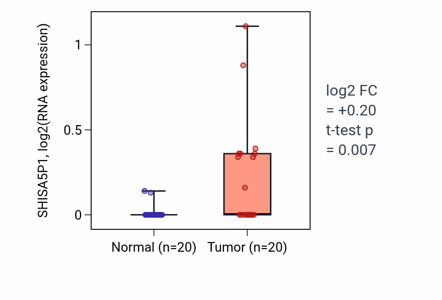 Tumor-vs-normal expression box plot for SHISA5P1 in COAD.