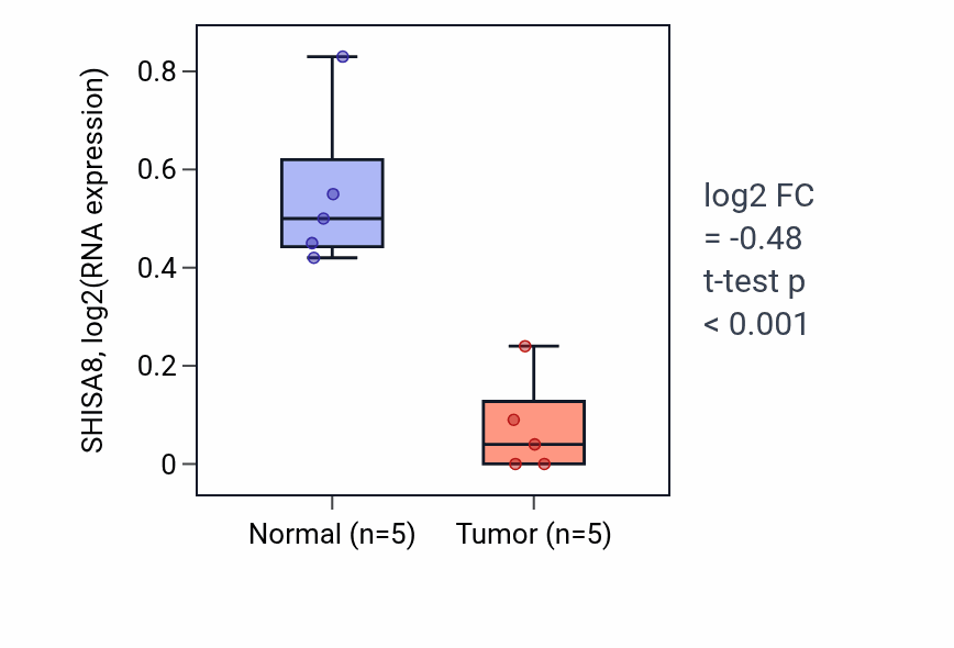 Tumor-vs-normal expression box plot for SHISA8 in KIRP.