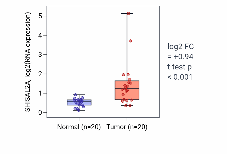 Tumor-vs-normal expression box plot for SHISAL2A RNA in KIRC.
