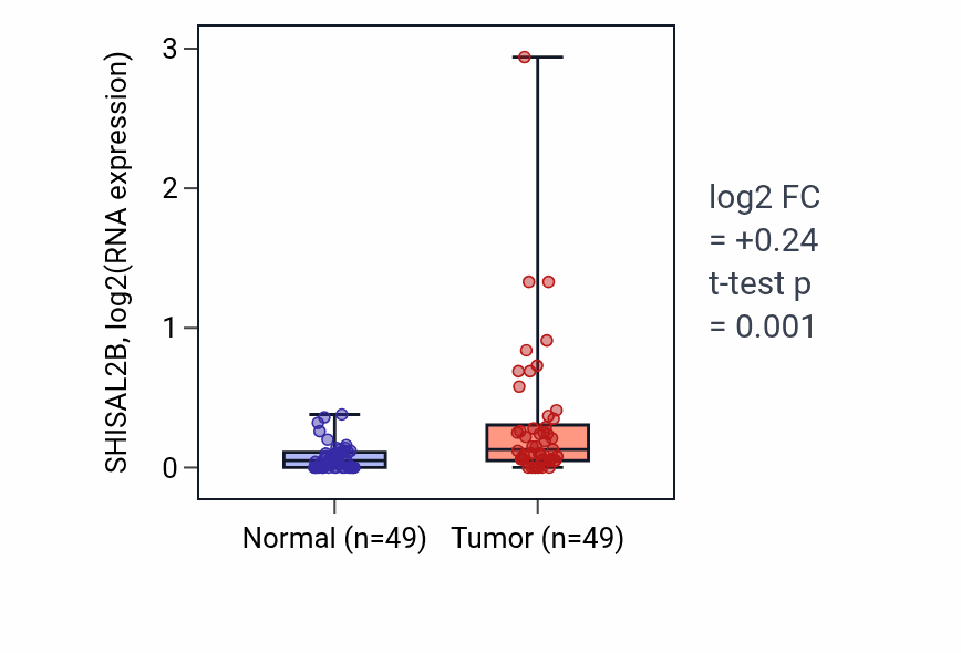 Tumor-vs-normal expression box plot for SHISAL2B in LUSC.