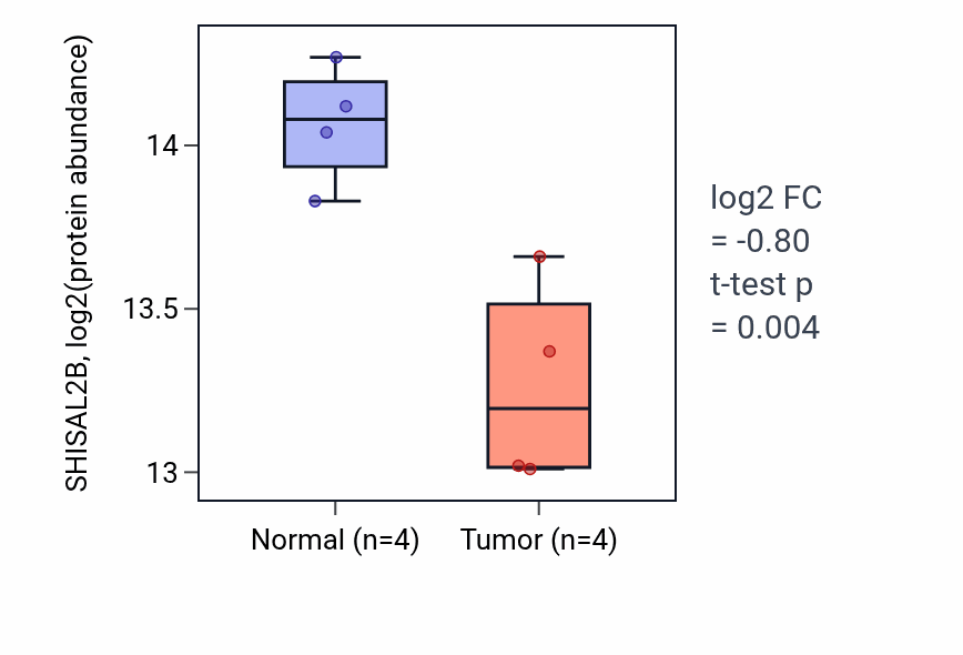 Tumor-vs-normal mass-spec protein box plot for SHISAL2B in LUAD.