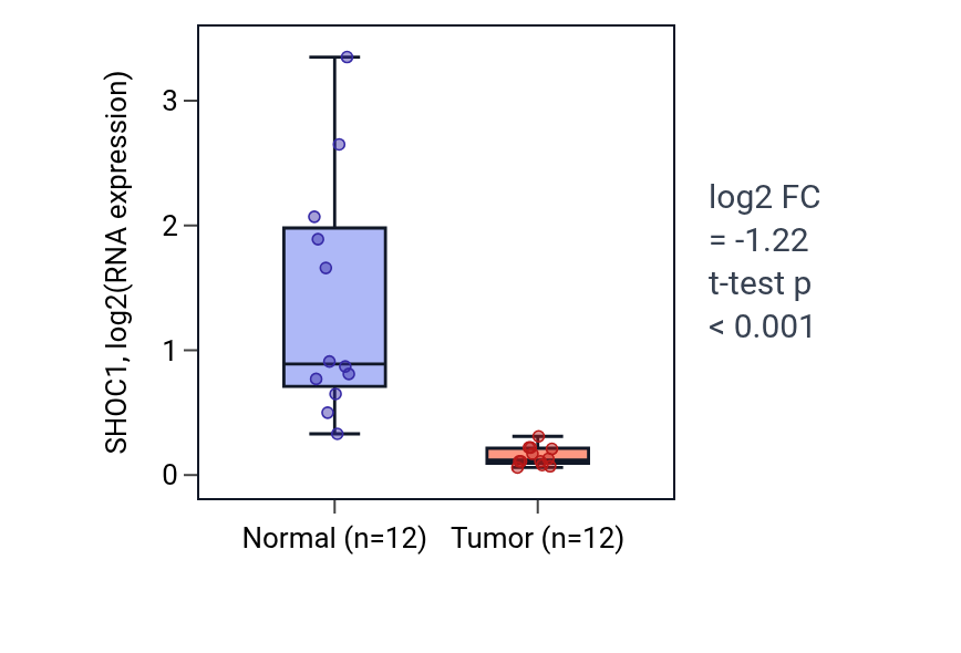 Tumor-vs-normal expression box plot for SHOC1 in KIRC.