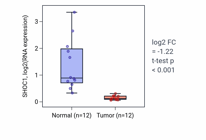 Tumor-vs-normal expression box plot for SHOC1 RNA in KIRC.