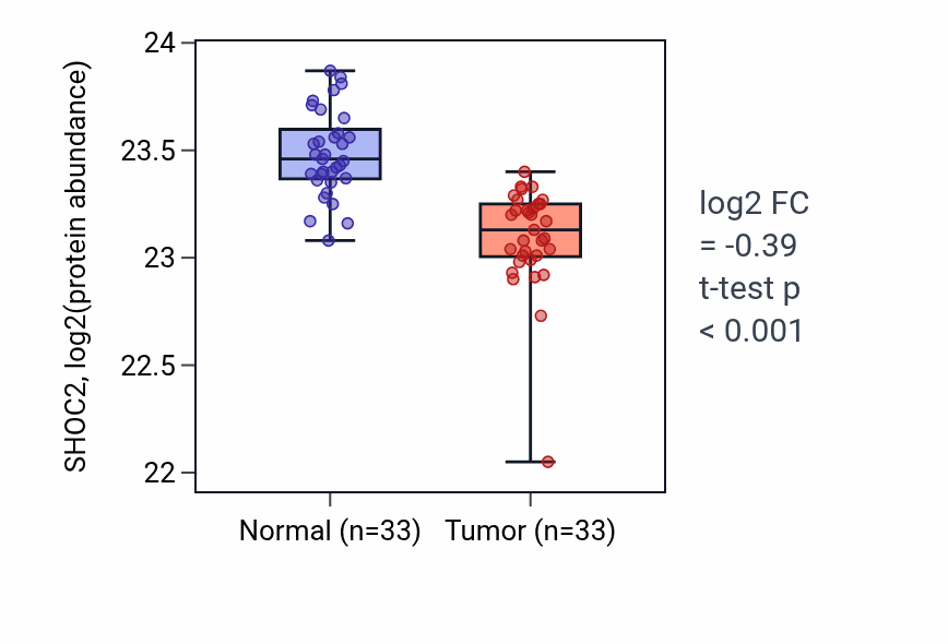 Tumor-vs-normal mass-spec protein box plot for SHOC2 in COAD.