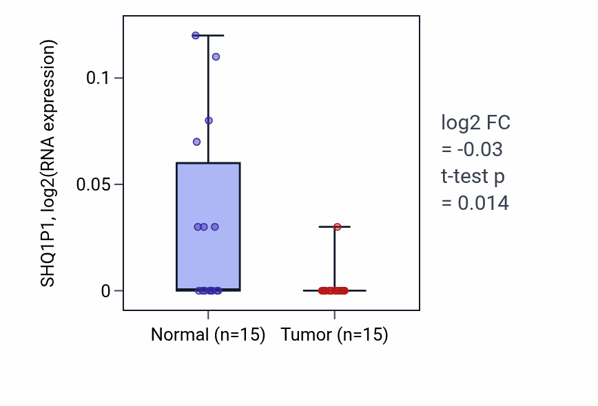 Tumor-vs-normal expression box plot for SHQ1P1 RNA in KIRP.