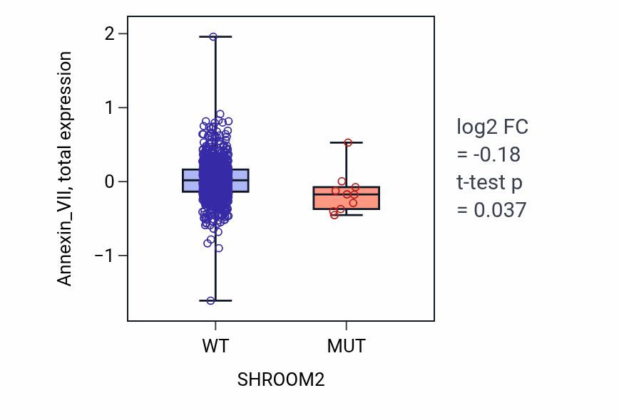 Box plot of Annexin_VII in SHROOM2-low vs SHROOM2-high samples in BRCA.