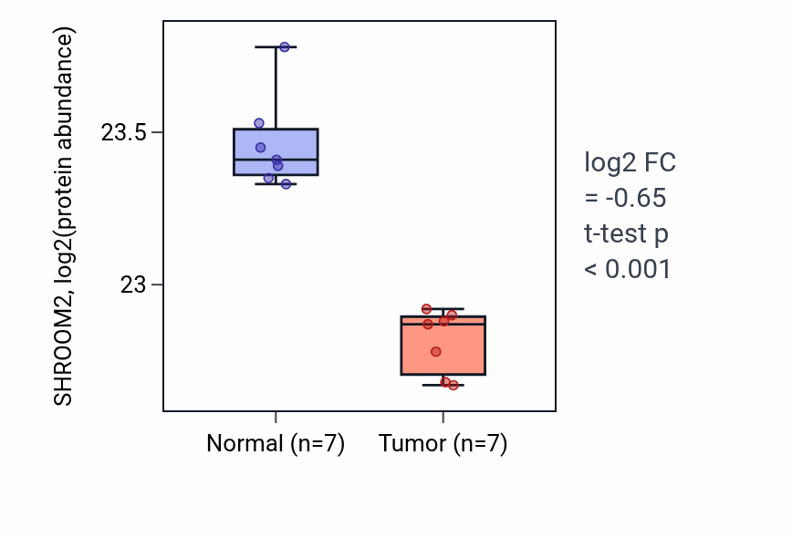 Tumor-vs-normal mass-spec protein box plot for SHROOM2 in CCRCC.
