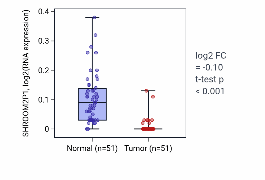 Tumor-vs-normal expression box plot for SHROOM2P1 in KIRC.