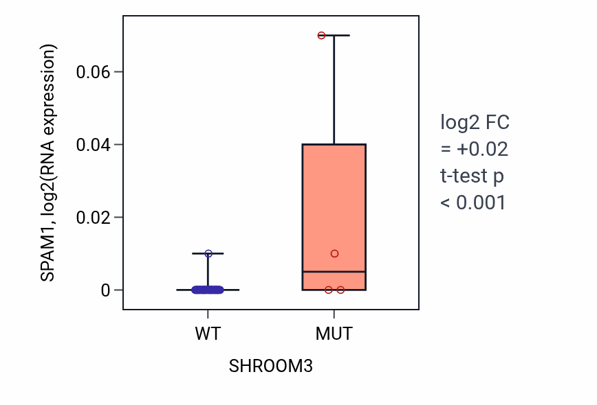 Box plot of SPAM1 in SHROOM3-low vs SHROOM3-high samples in SOFT_TISSUE.