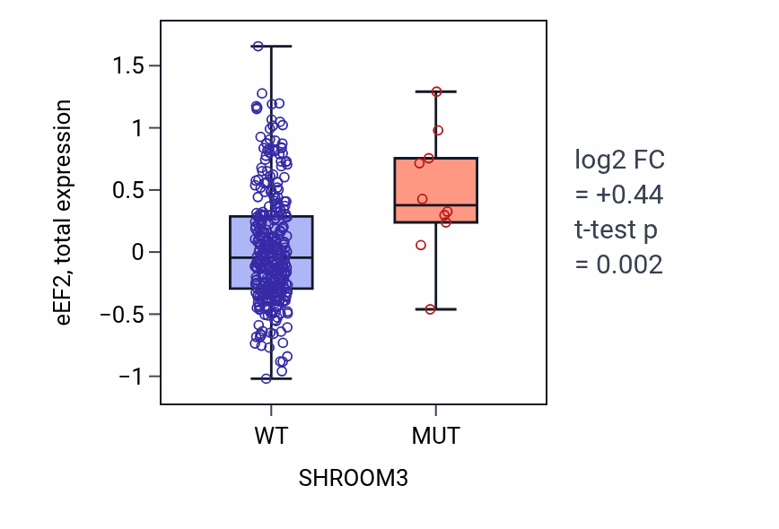 Box plot of eEF2 in SHROOM3-low vs SHROOM3-high samples in COAD.