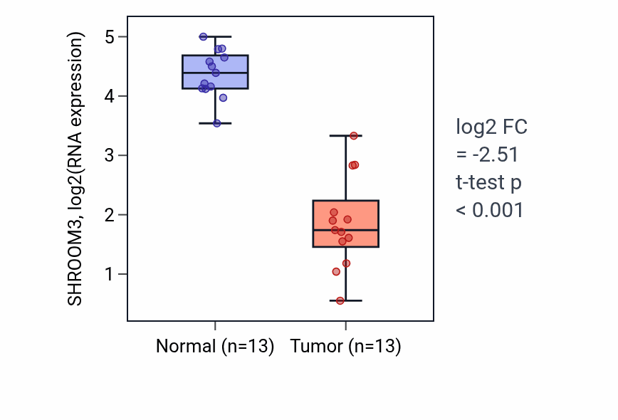 Tumor-vs-normal expression box plot for SHROOM3 RNA in KIRC.