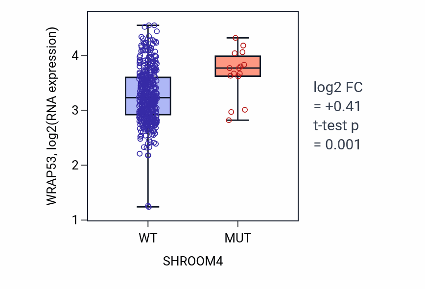Box plot of WRAP53 in SHROOM4-low vs SHROOM4-high samples in COAD.