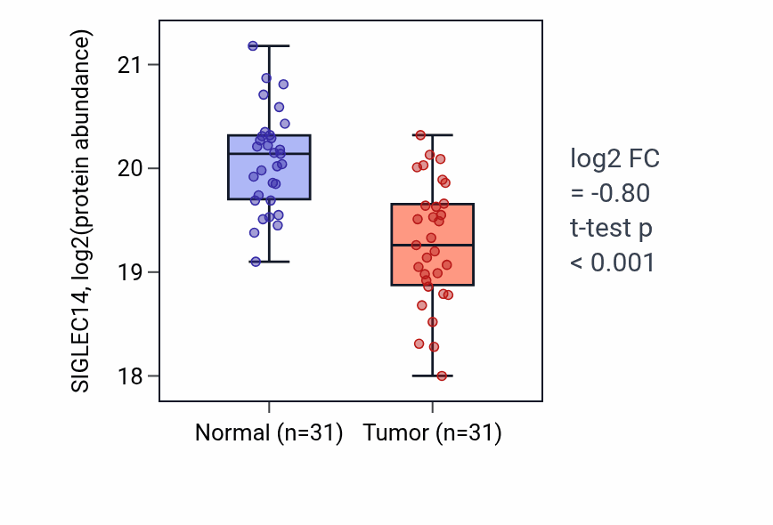 Tumor-vs-normal mass-spec protein box plot for SIGLEC14 in LSCC.