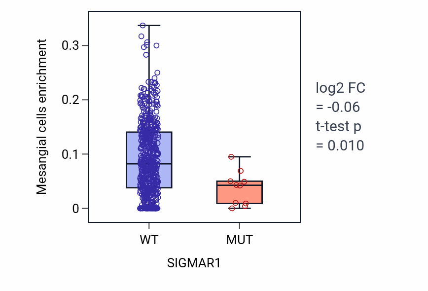 Box plot of Mesangial cells in SIGMAR1-low vs SIGMAR1-high samples in UCEC.