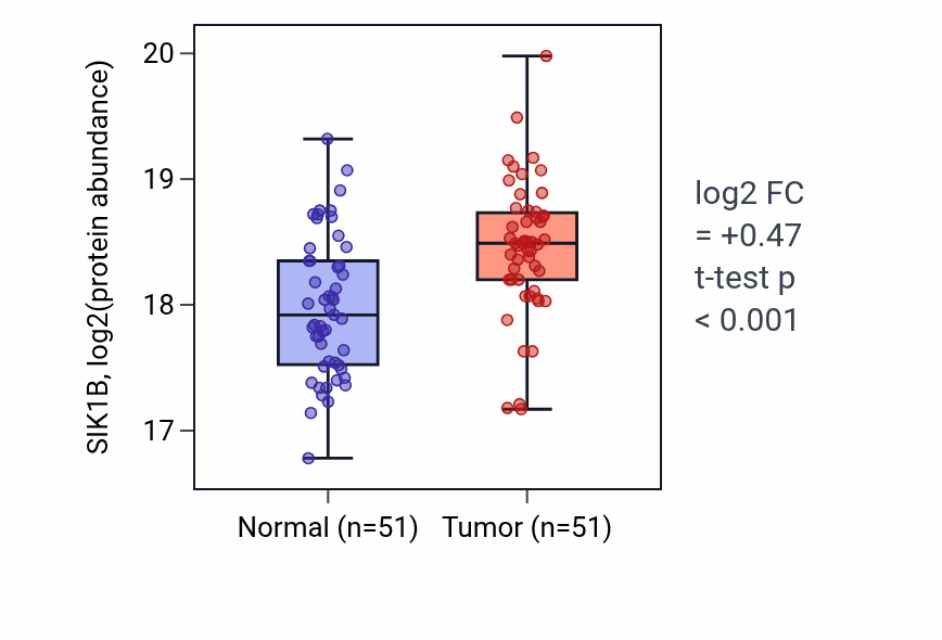 Tumor-vs-normal mass-spec protein box plot for SIK1B in LSCC.