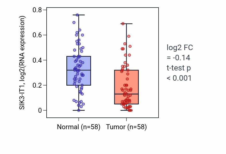 Tumor-vs-normal expression box plot for SIK3-IT1 in THCA.
