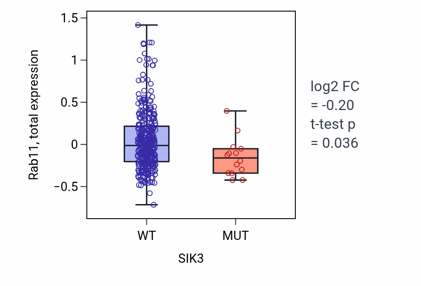 Box plot of Rab11 in SIK3-low vs SIK3-high samples in SKCM.