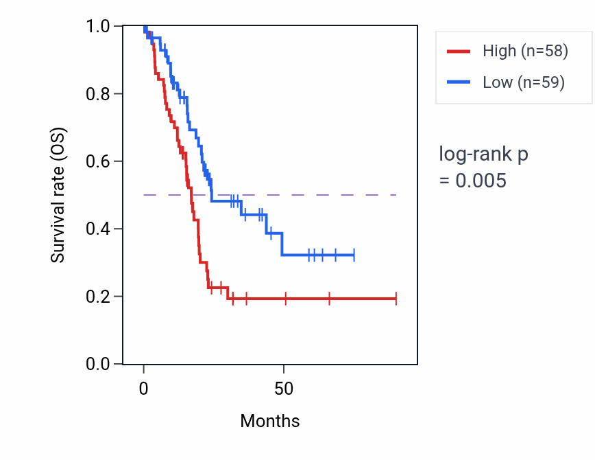 Kaplan&ndash;Meier survival curve for SINHCAFP2 RNA expression in PAAD: high vs low expression groups.