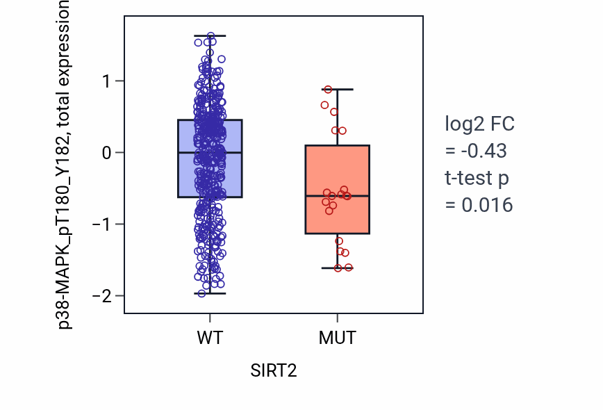 Box plot of p38-MAPK_pT180_Y182 in SIRT2-low vs SIRT2-high samples in UCEC.