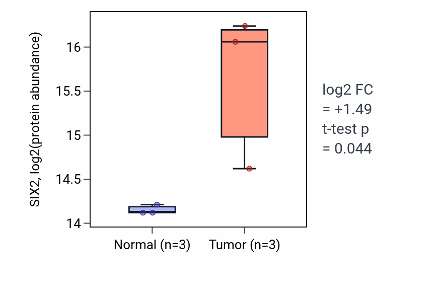 Tumor-vs-normal mass-spec protein box plot for SIX2 in LSCC.