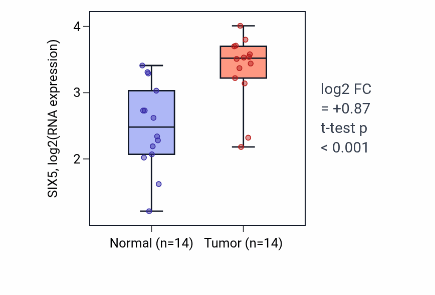 Tumor-vs-normal expression box plot for SIX5 RNA in HNSC.