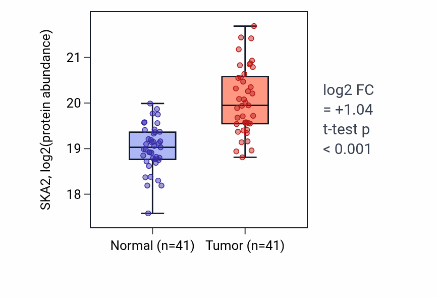 Tumor-vs-normal mass-spec protein box plot for SKA2 in LSCC.