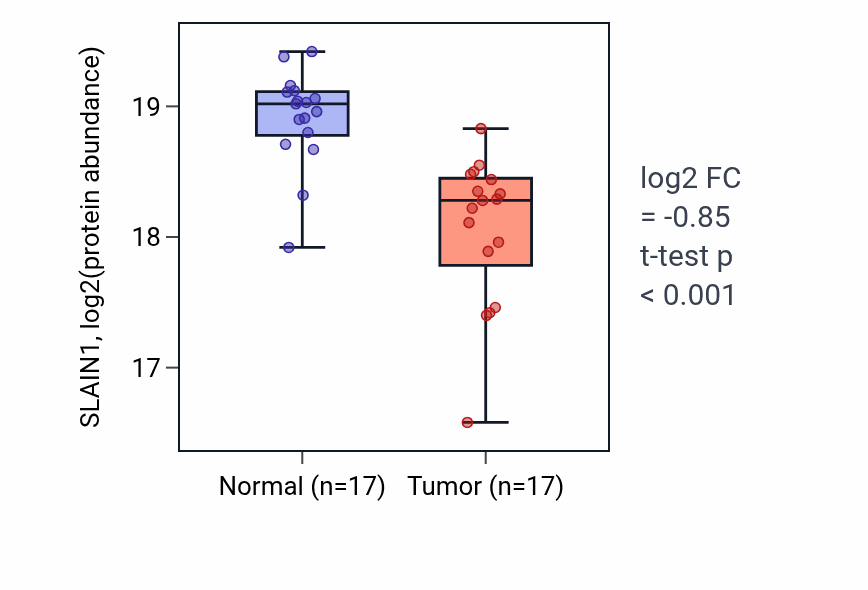 Tumor-vs-normal mass-spec protein box plot for SLAIN1 in LSCC.