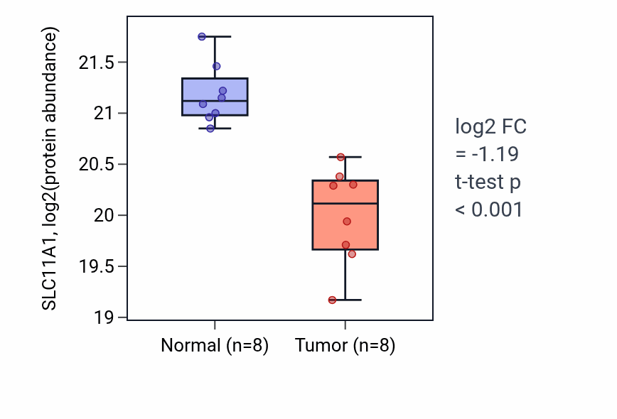 Tumor-vs-normal mass-spec protein box plot for SLC11A1 in LSCC.
