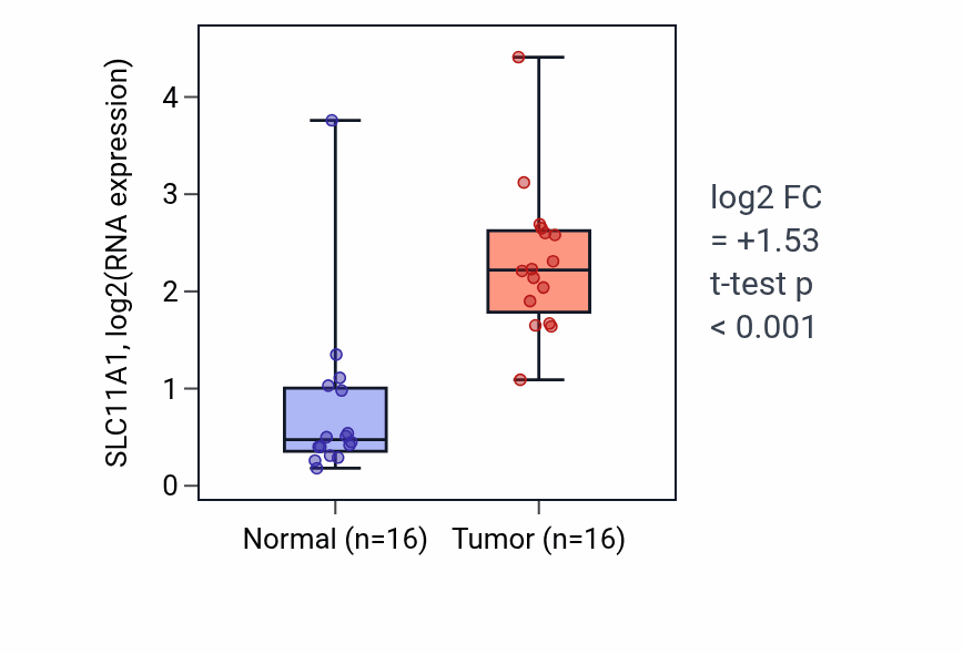 Tumor-vs-normal expression box plot for SLC11A1 RNA in HNSC.