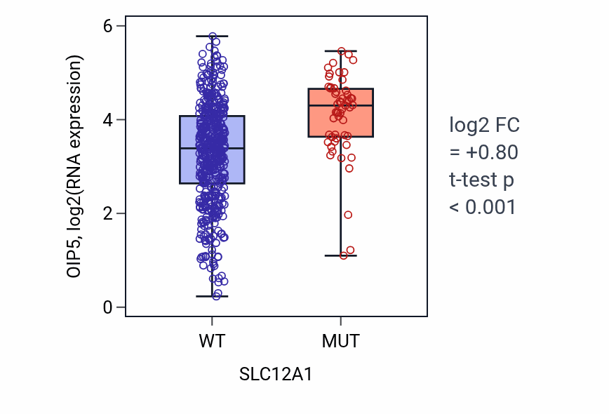 Box plot of OIP5 in SLC12A1-low vs SLC12A1-high samples in UCEC.