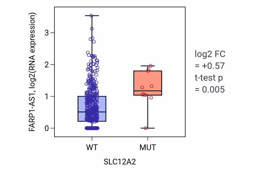 Box plot of FARP1-AS1 in SLC12A2-low vs SLC12A2-high samples in COAD.