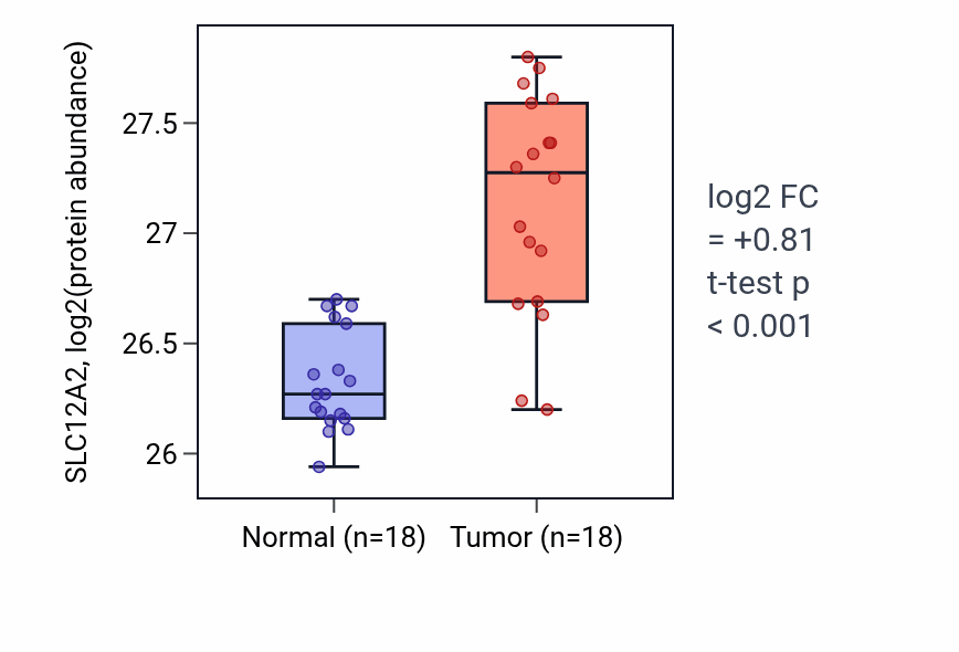 Tumor-vs-normal mass-spec protein box plot for SLC12A2 in COAD.