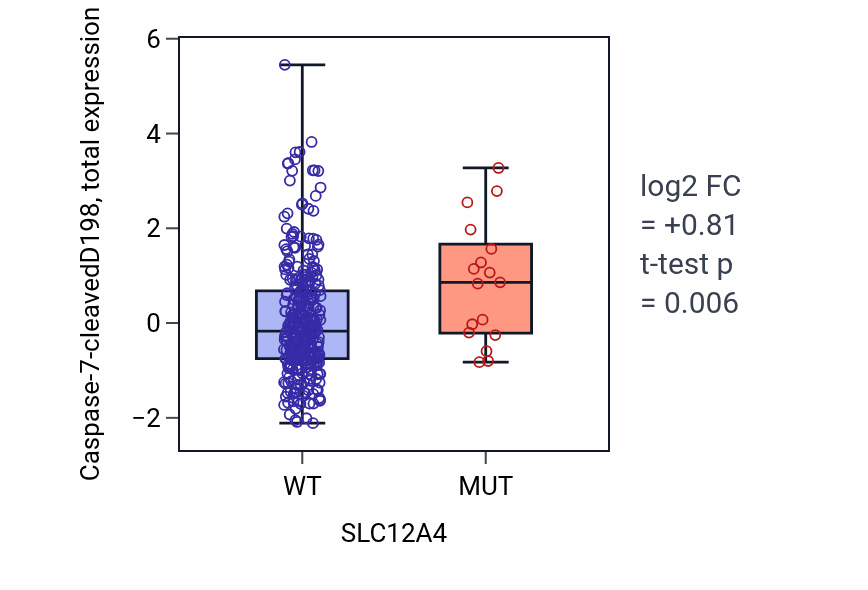 Box plot of Caspase-7-cleavedD198 in SLC12A4-low vs SLC12A4-high samples in COAD.