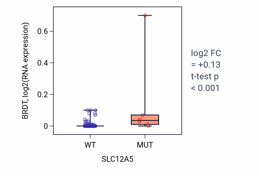 Box plot of BRDT in SLC12A5-low vs SLC12A5-high samples in BLOOD_Leukemia.