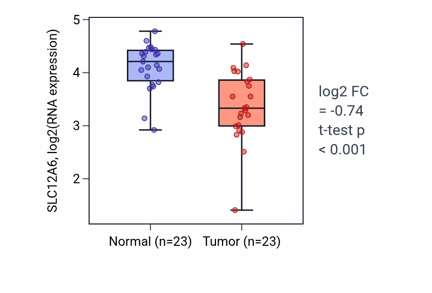 Tumor-vs-normal expression box plot for SLC12A6 RNA in THCA.