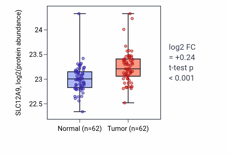 Tumor-vs-normal mass-spec protein box plot for SLC12A9 in HNSC.