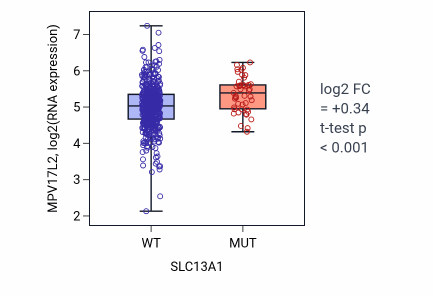 Box plot of MPV17L2 in SLC13A1-low vs SLC13A1-high samples in UCEC.