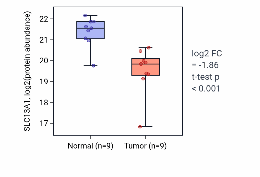 Tumor-vs-normal mass-spec protein box plot for SLC13A1 in CCRCC.