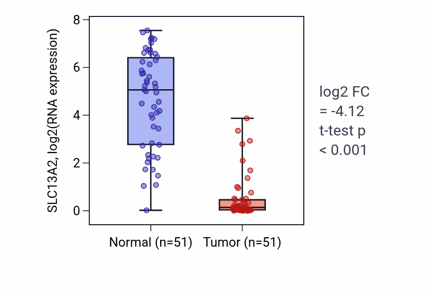 Tumor-vs-normal expression box plot for SLC13A2 RNA in KIRC.