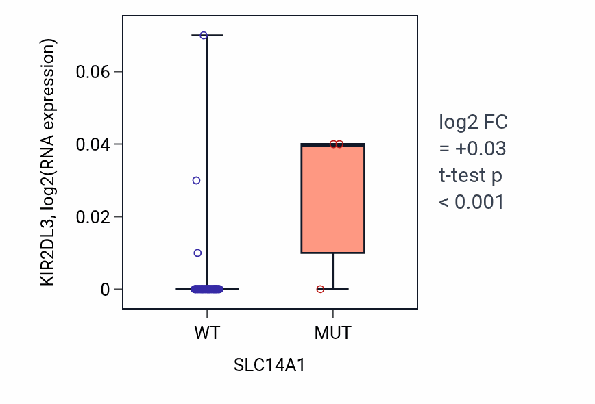 Box plot of KIR2DL3 in SLC14A1-low vs SLC14A1-high samples in CNS.