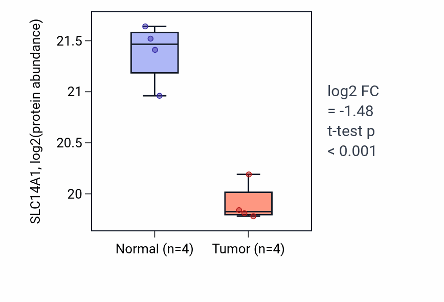 Tumor-vs-normal mass-spec protein box plot for SLC14A1 in LUAD.