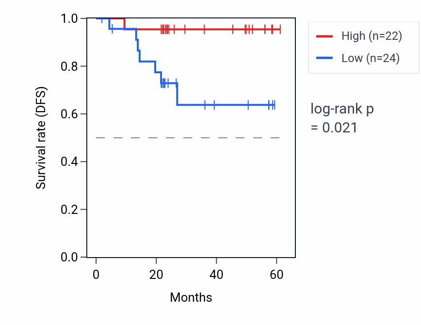 Kaplan&ndash;Meier survival curve for SLC15A2 mass-spec protein-high vs -low samples in UCEC.