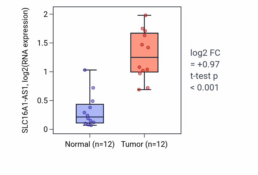 Tumor-vs-normal expression box plot for SLC16A1-AS1 in KIRC.