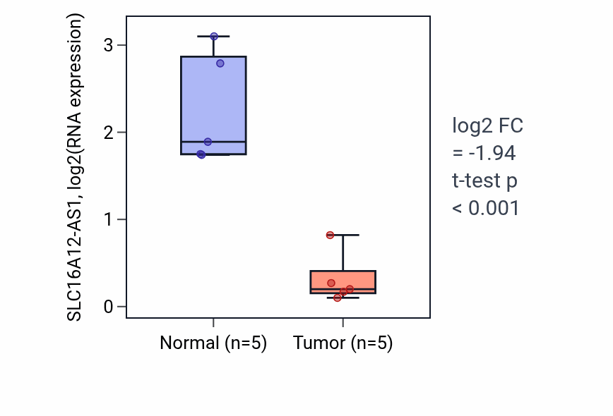 Tumor-vs-normal expression box plot for SLC16A12-AS1 in KIRP.