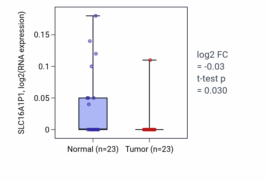 Tumor-vs-normal expression box plot for SLC16A1P1 in THCA.